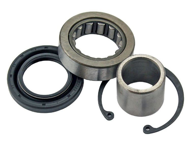 Inner Primary Bearing Kit. Fits Big Twin 2008up.