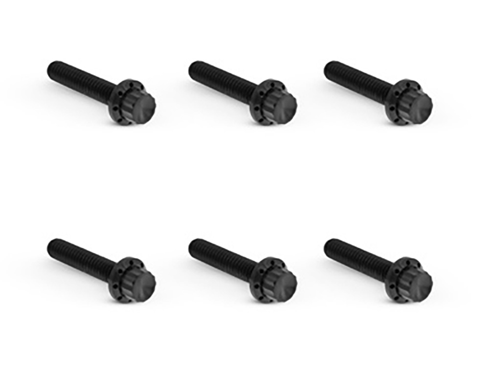 Titanium 12-Point Transmission Side Cover Bolt Kit - Black. Fits Touring 2024up & Softail 2025up