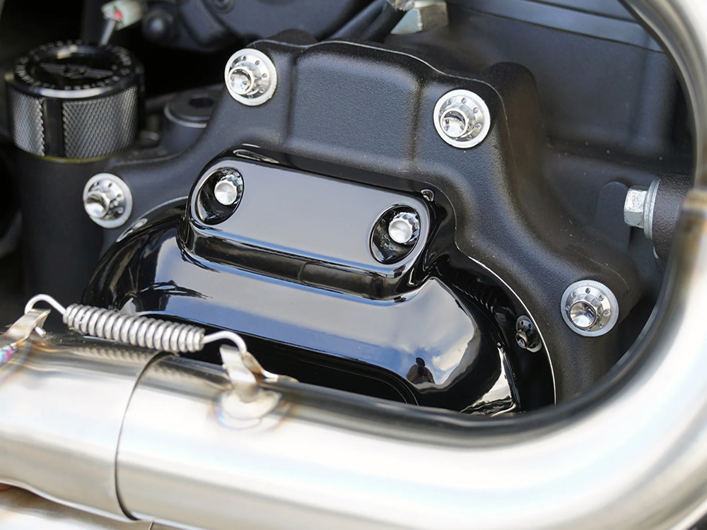 Arlen Ness Titanium 12-Point Transmission Side Cover Bolt Kit – Polished. Fits Touring 2007-2023, Softail 2007-2024 & Dyna 2006-2017