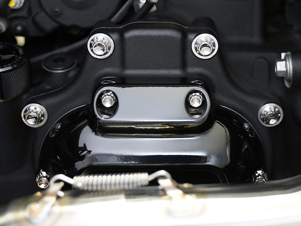 Arlen Ness Titanium 12-Point Transmission Side Cover Bolt Kit – Polished. Fits Touring 2007-2023, Softail 2007-2024 & Dyna 2006-2017