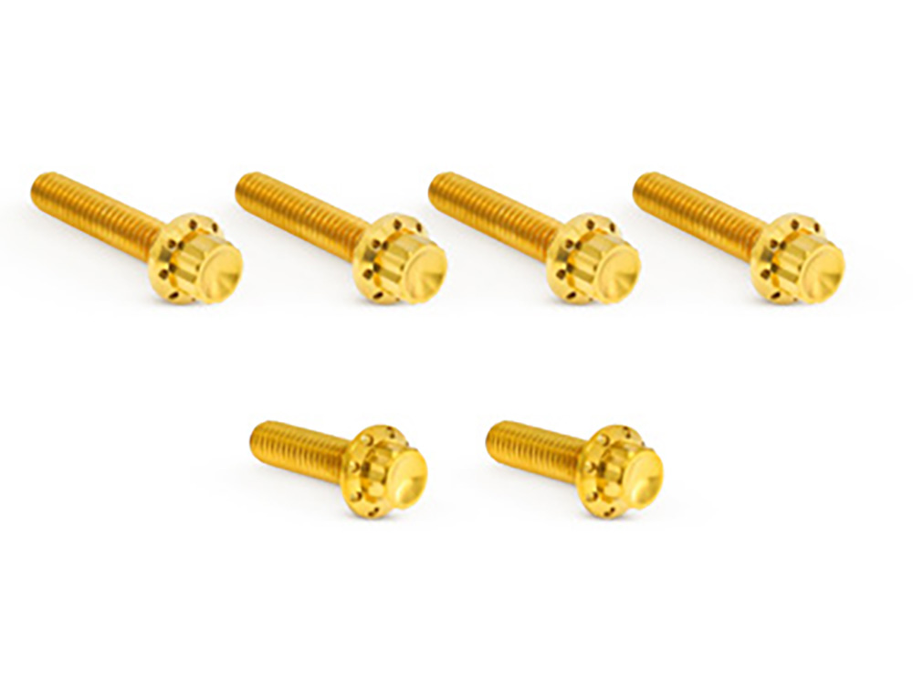 Titanium 12-Point Transmission Side Cover Bolt Kit - Gold. Fits Touring 2007-2023, Softail 2007-2024 & Dyna 2006-2017