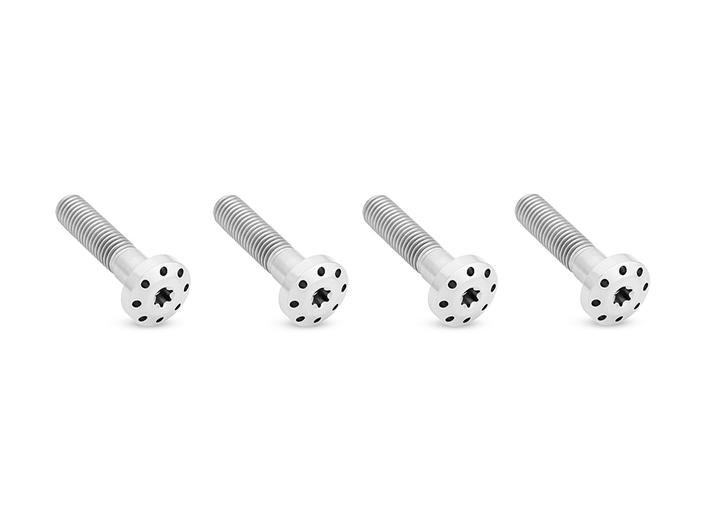 Arlen Ness Titanium Holeshot Shock Absorber Bolt Kit - Polished. Fits Touring 1999up