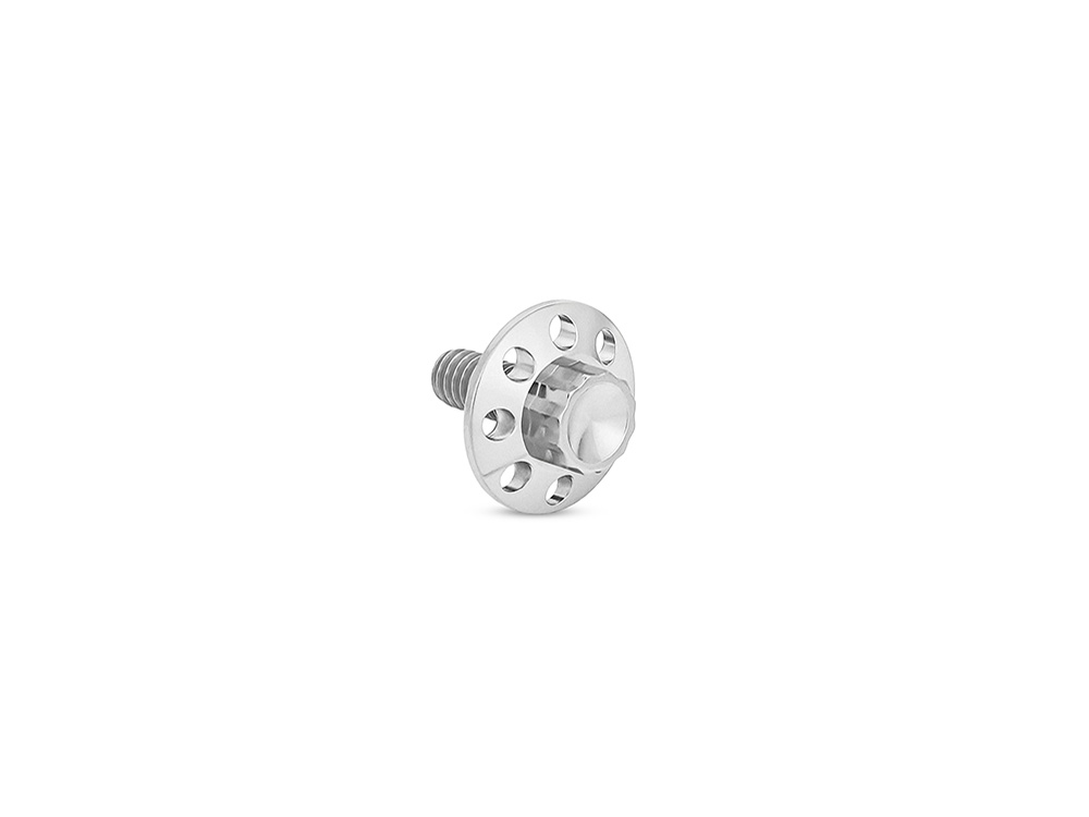 Arlen Ness Titanium 12-Point 1/4in.-20 Seat Mount Screw - Polished. Fits H-D 1996up