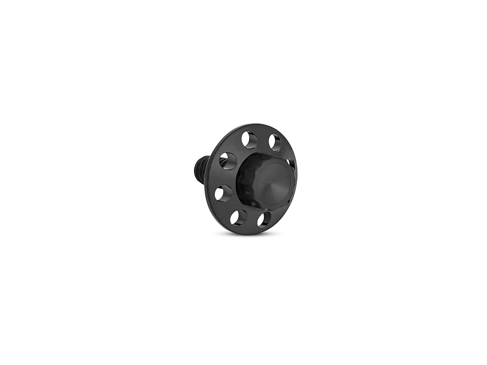 Arlen Ness Titanium 12-Point 1/4in.-20 Seat Mount Screw - Black. Fits H-D 1996up