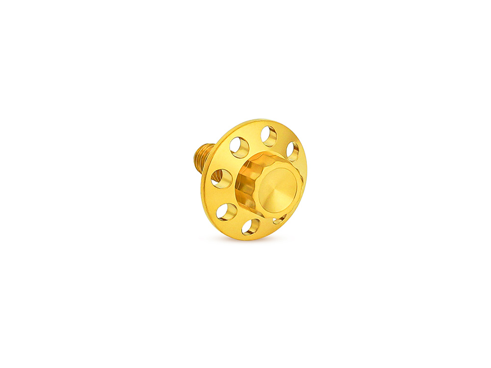 Arlen Ness Titanium 12-Point 1/4in.-20 Seat Mount Screw - Gold. Fits H-D 1996up