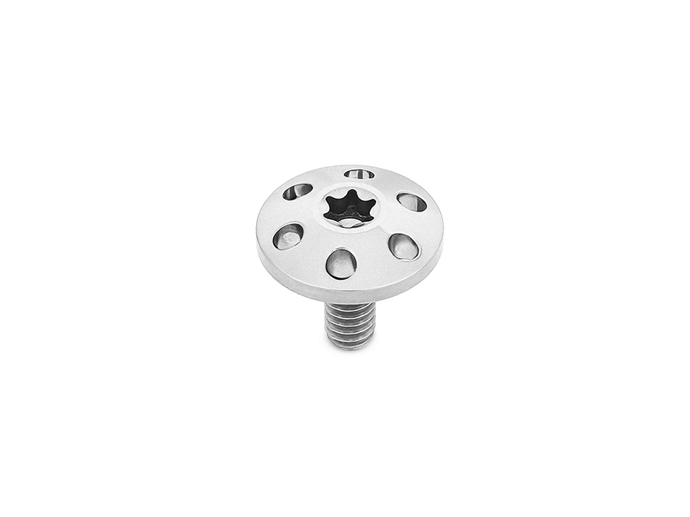 Arlen Ness Titanium Holeshot 1/4in.-20 Seat Mount Screw - Polished. Fits H-D 1996up