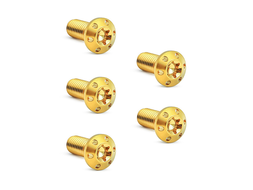 Titanium Front Disc Rotor Bolts - Gold. Fits H-D Big Twin 1984up & Sportster 1984-2021