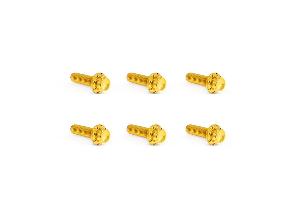 Titanium 12-Point Transmission Top Cover Bolt Kit - Gold. Fits Softail 2007-2024, Most Touring 2007-2024 & Dyna 2006-2017