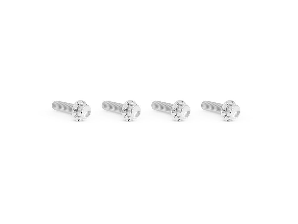 Titanium 12-Point Transmission Top Cover Bolt Kit or Clutch & Brake Perch Bolt Kit - Polished. Fits CVO Touring 2023up, Street Glide & Road Glide 2024up, Touring 2025up & Softail 2025up
