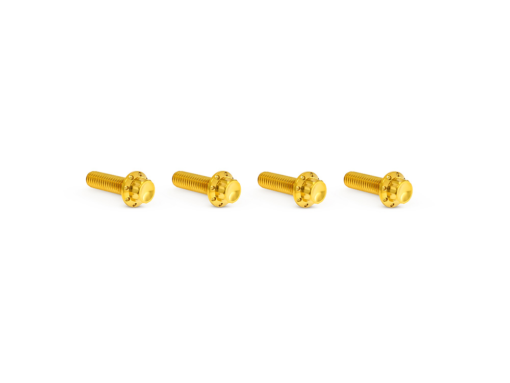 Titanium 12-Point Transmission Top Cover Bolt Kit or Clutch & Brake Perch Bolt Kit - Gold. Fits CVO Touring 2023up, Street Glide & Road Glide 2024up, Touring 2025up & Softail 2025up
