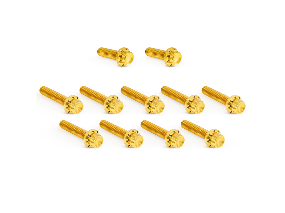 Titanium 12-Point Cam Cover Bolt Kit - Gold. Fits CVO Touring 2023up, Street Glide & Road Glide 2024up, Touring 2025up & Softail 2025up