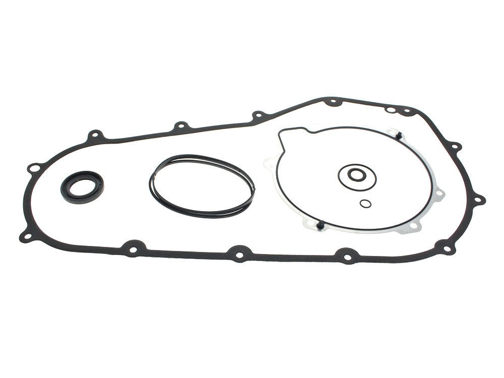 Primary Gasket Kit. Fits Softail 2018up.