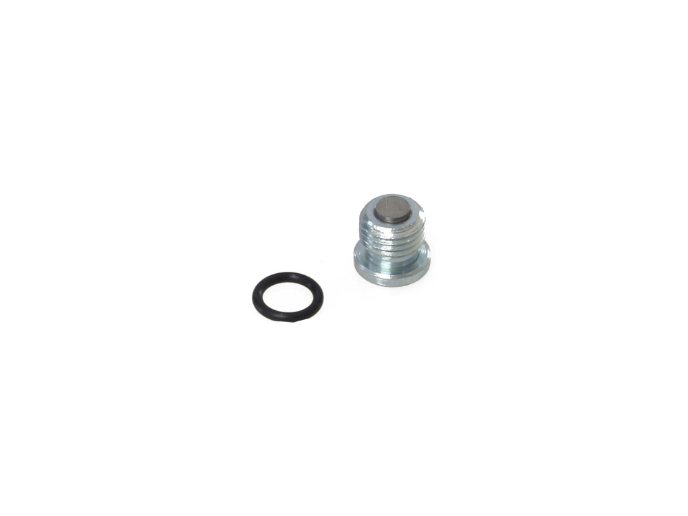 Primary Drain Plug. Fits Twin Cam 2004-2006