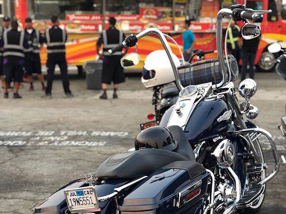 18in. x 1-1/2in. Vicla Handlebar – Chrome.