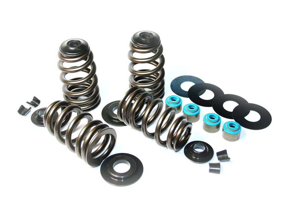 585in. Lift ECONO Performance Beehive Valve Spring Kit. Fits Twin Cam 2005-2017 & Sportster 2004-2021.