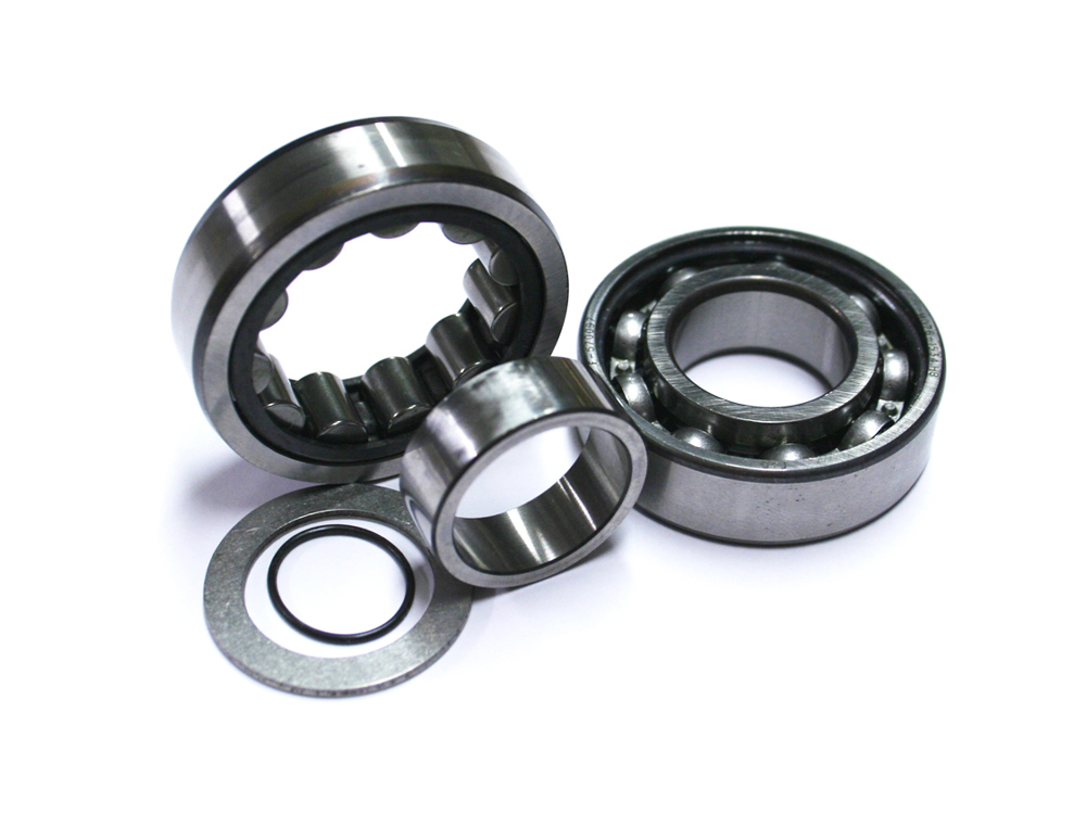 Outer Camshaft Bearings - Pair. Fits Dyna 1999-2005, Touring 1999-2006 & Softail 2000-2006