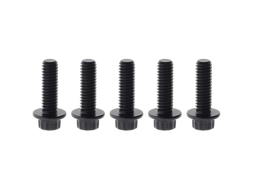 Front Disc Rotor Bolts - Black 12 Point ARP. 5/16in.-18 x 1.0in.. Fits Most HD models 1984up.