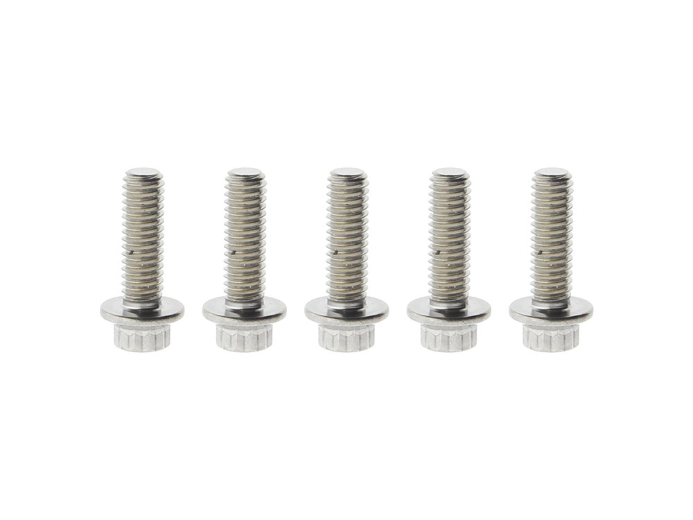 Front Disc Bolts – Stainless 12 Point ARP. 5/16in.-18 x 1.0in.. Fits Most HD models 1984up.