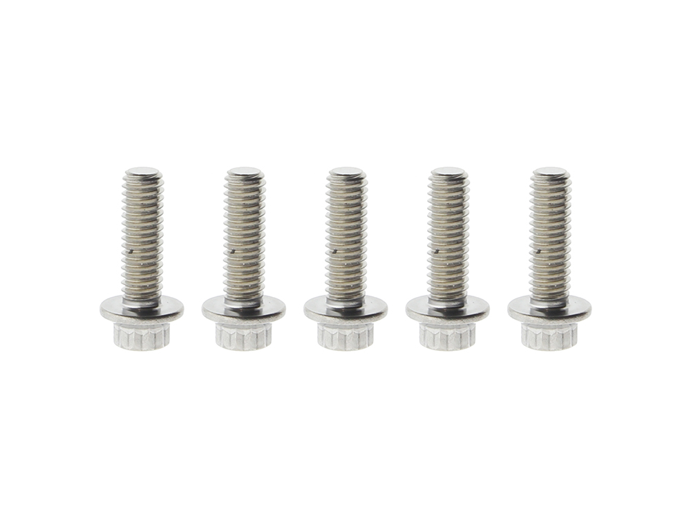 Front Disc Rotor Bolts - Stainless 12 Point ARP. 5/16in.-18 x 1.0in.. Fits Most HD models 1984up.