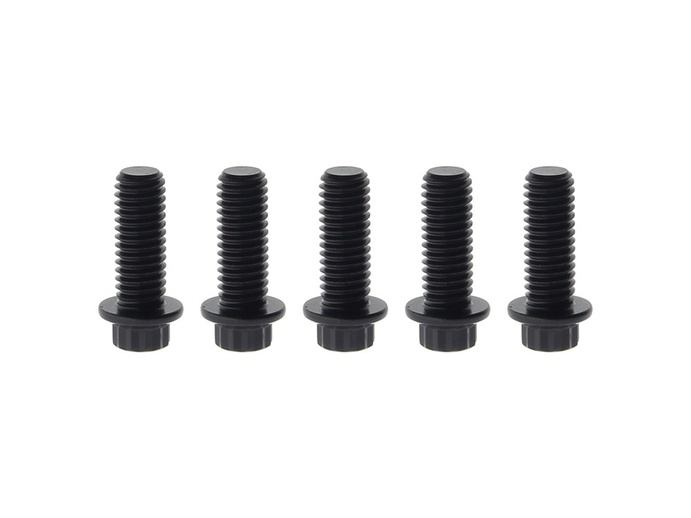 Rear Disc Bolts – Black 12 Point ARP. 3/8in.-16 x 1.0in.. Fits Most HD models 1997up.