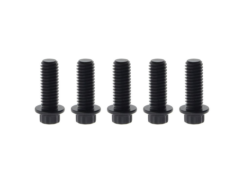 Rear Disc Rotor Bolts - Black 12 Point ARP. Fits H-D Big Twin 1997up & Sportster 1997-2021