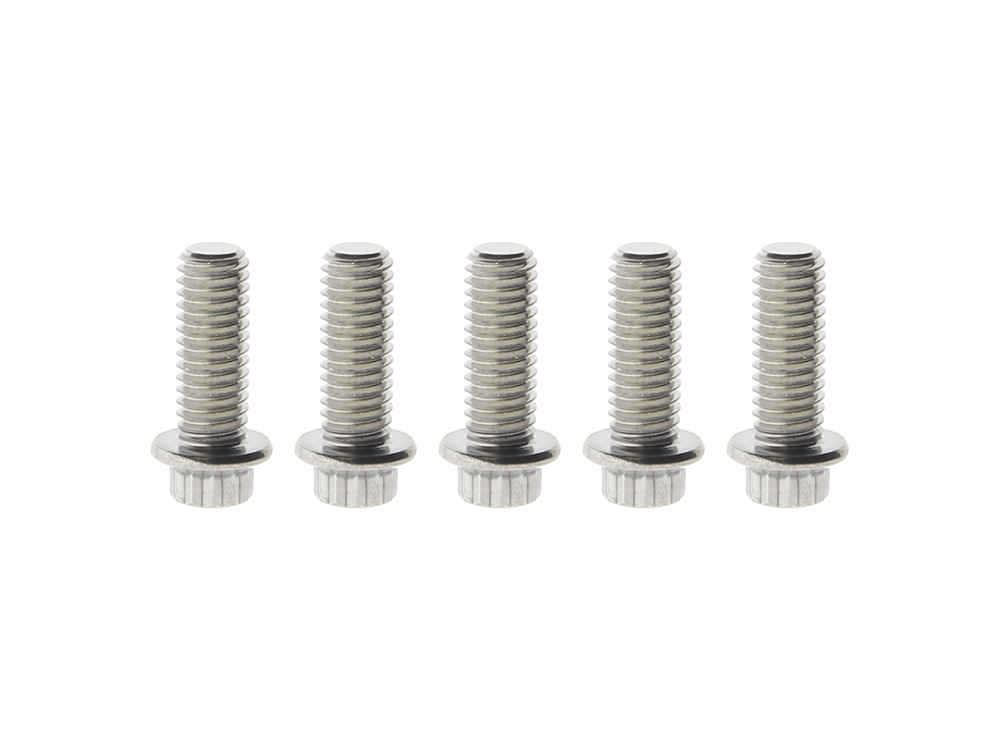 Rear Disc Rotor Bolts - Stainless 12 Point ARP. Fits H-D Big Twin 1997up & Sportster 1997-2021