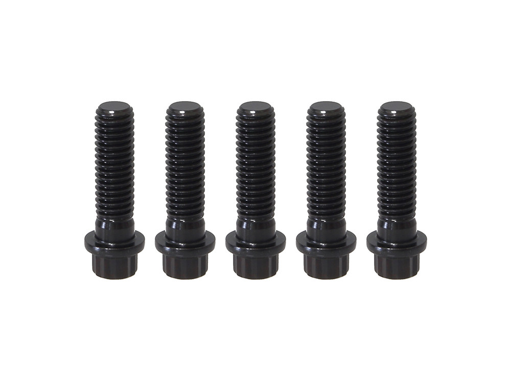 Rear Pulley Bolts – Black 12 Point ARP. 7/16in.-14 x 1.50in.
