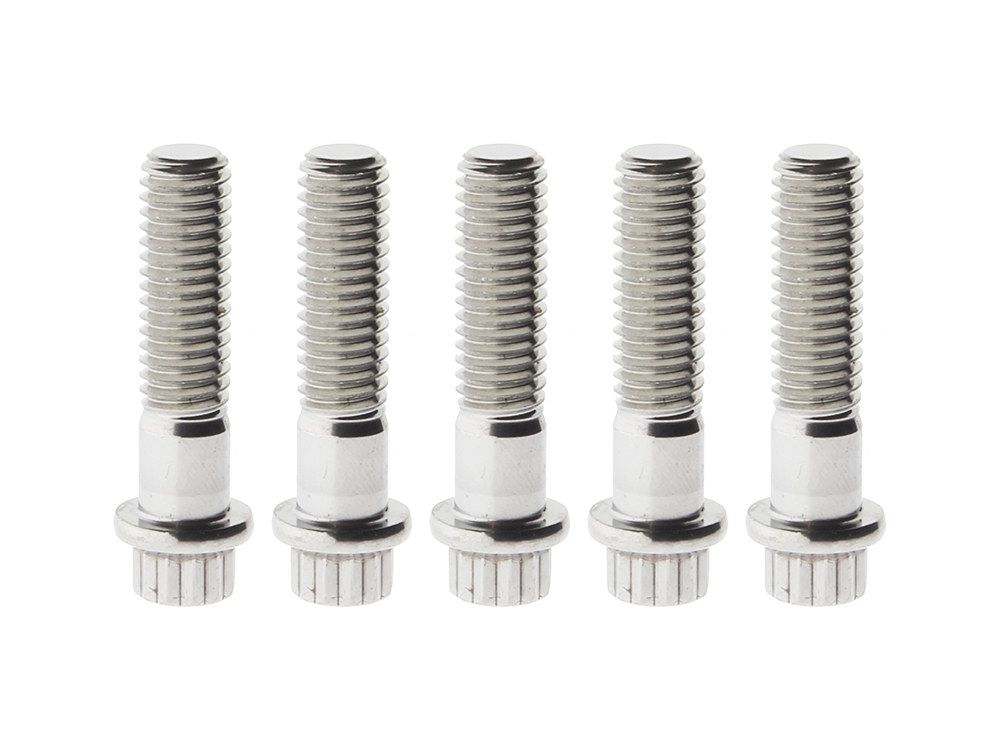 Rear Pulley Bolts – Stainless 12 Point ARP. 7/16in.-14 x 1.75in.