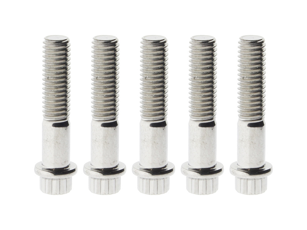 Rear Pulley Bolts – Stainless 12 Point ARP. 7/16in.-14 x 2.00in.
