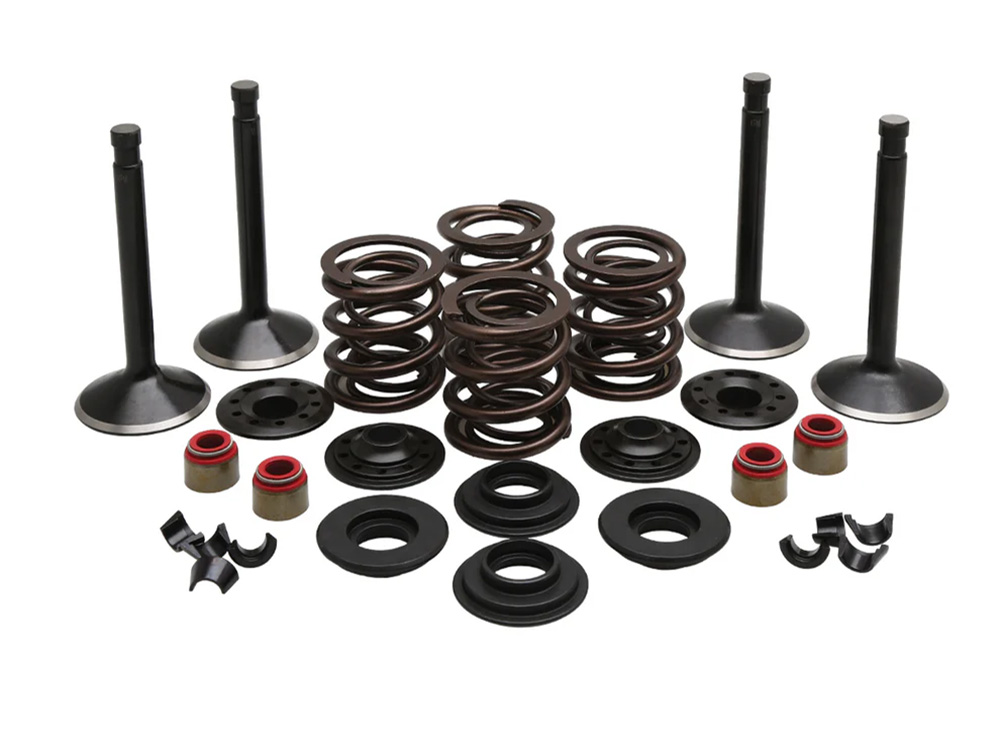 KPM Valve & Spring Engine Kit. Fits 1200cc Big Twin 1966-1977