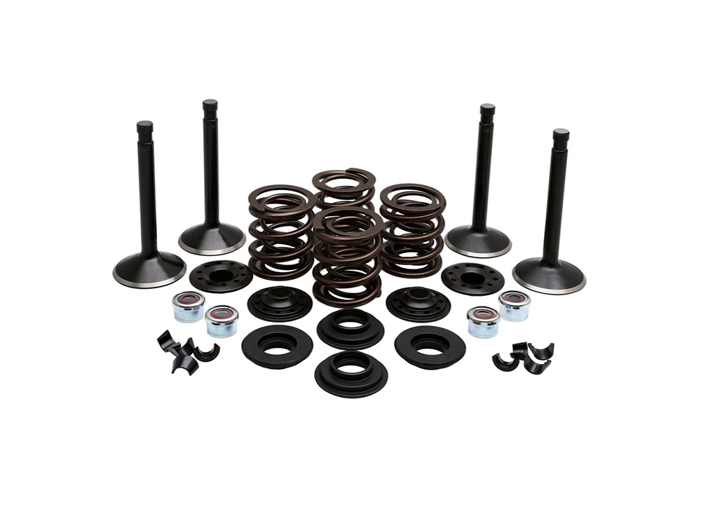 KPM Valve & Spring Engine Kit. Fits 80ci Big Twin 1978-1984