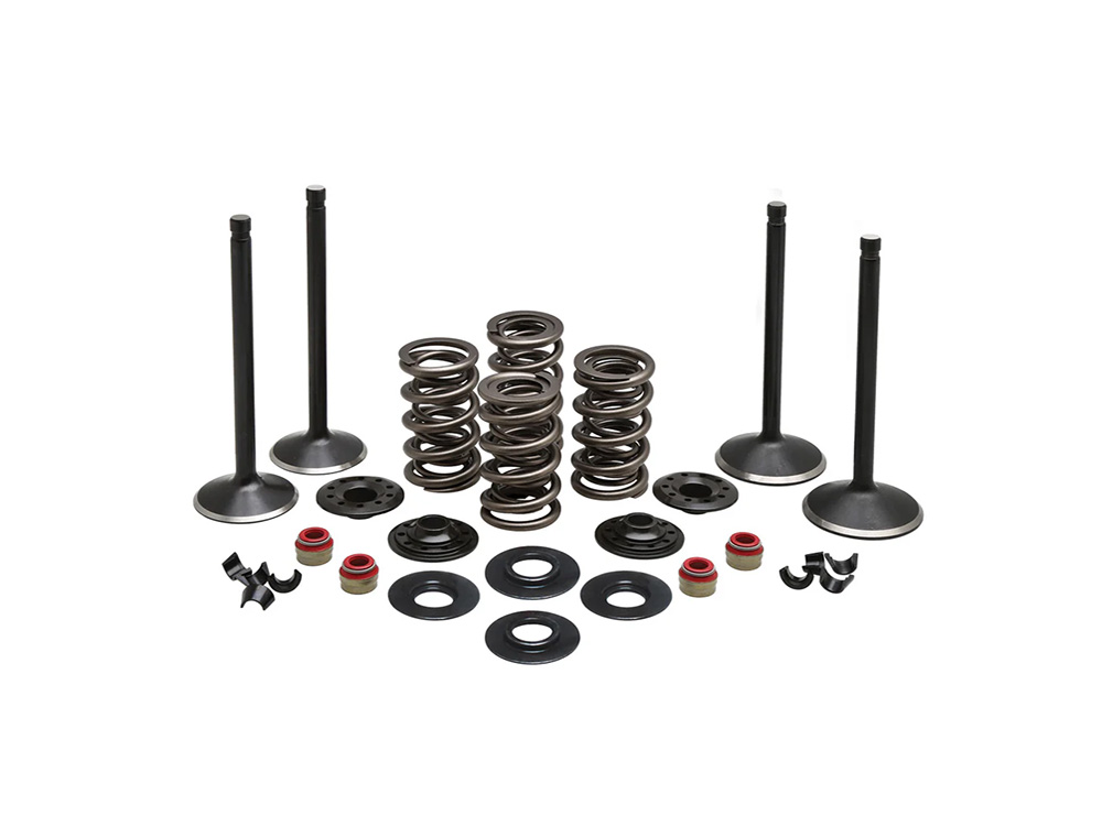KPM Valve & Spring Engine Kit. Fits Evolution Big Twin 1984-1999