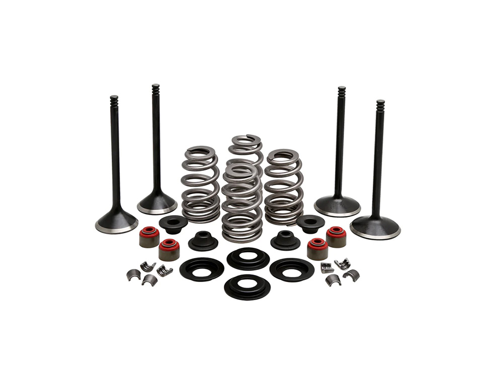 KPM Valve & Spring Engine Kit. Fits 1200cc Sportster 2004-2021