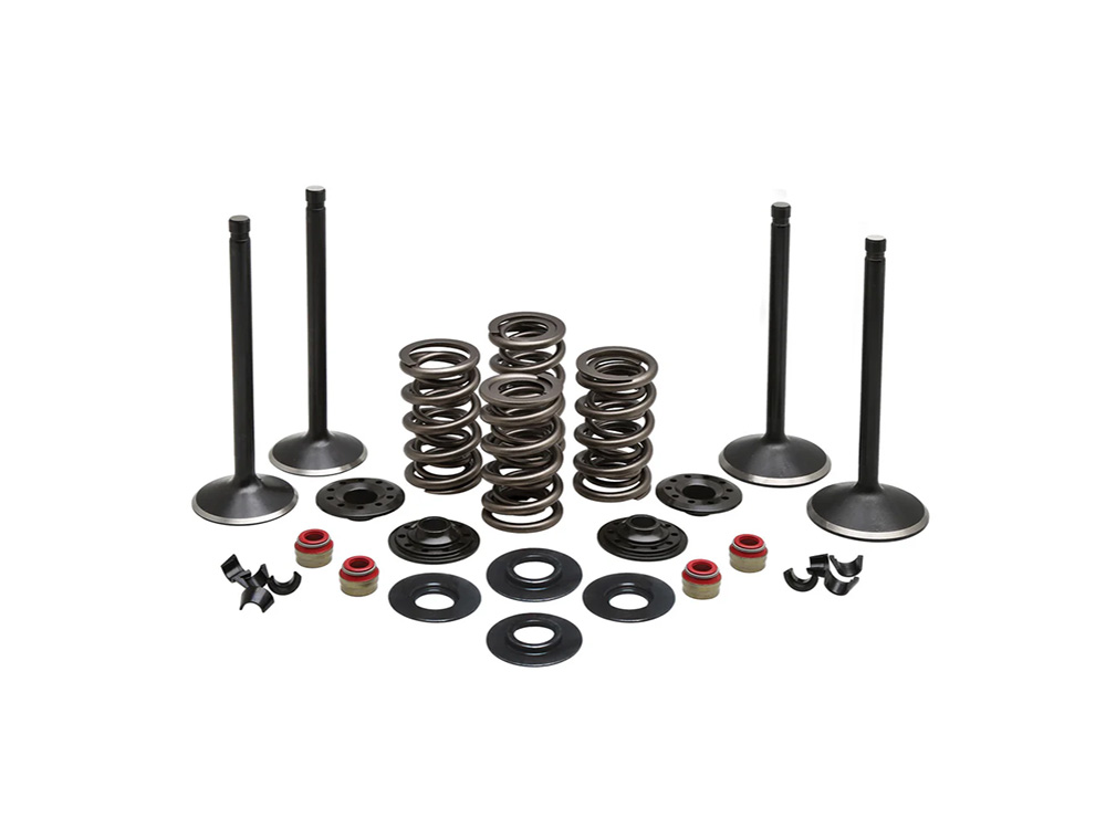 KPM Valve & Spring Engine Kit. Fits Twin Cam 1999-2004