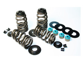 585in. Lift ECONO Performance Beehive Valve Spring Kit. Fits Big Twin 1984-2004, Sportster & Buell 1986-2003. 