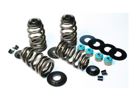 585in. Lift ECONO Performance Beehive Valve Spring Kit. Fits Twin Cam 2005-2017 & Sportster 2004-2021. 