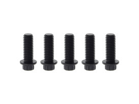 Rear Disc Bolts - Black 12 Point ARP. 3/8in.-16 x 1.0in.. Fits Most HD models 1997up. 