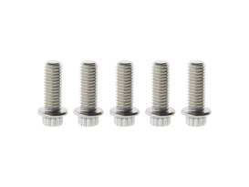 Rear Disc Bolts - Stainless 12 Point ARP. 3/8in.-16 x 1.0in.. Fits Most HD models 1997up. 