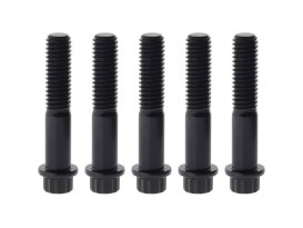 Rear Pulley Bolts - Black 12 Point ARP. 7/16in.-14 x 2.25in. 