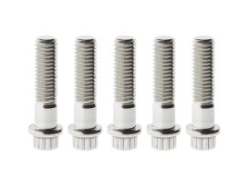 Rear Pulley Bolts - Stainless 12 Point ARP. 7/16in.-14 x 1.75in. 