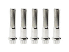 Rear Pulley Bolts - Stainless 12 Point ARP. 7/16in.-14 x 2.00in. 