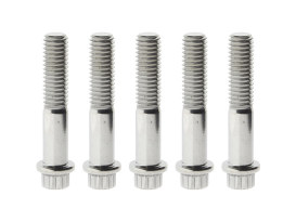Rear Pulley Bolts - Stainless 12 Point ARP. 7/16in.-14 x 2.25in. 