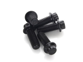 Rear Disc Bolts - Black 12 Point ARP. 3/8in.-16 x 1.0in.. Fits Most HD Big Twin 1997up and Sportster 1997-2021. 