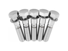 Rear Pulley Bolt Kit - Chrome. Fits H-D 1984up. 