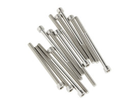 Diffuser Disc Bolts - Pack of 6. Fits Supertrapp 4in. Baffle Running 15-34 discs 